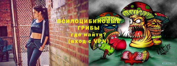 гидропоника Армянск